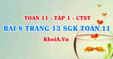 Bài 8 trang 13 SGK Toán 11 Tập 1 Chân trời sáng tạo